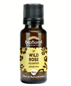 Wild Rose (No. 37), granules without alcohol